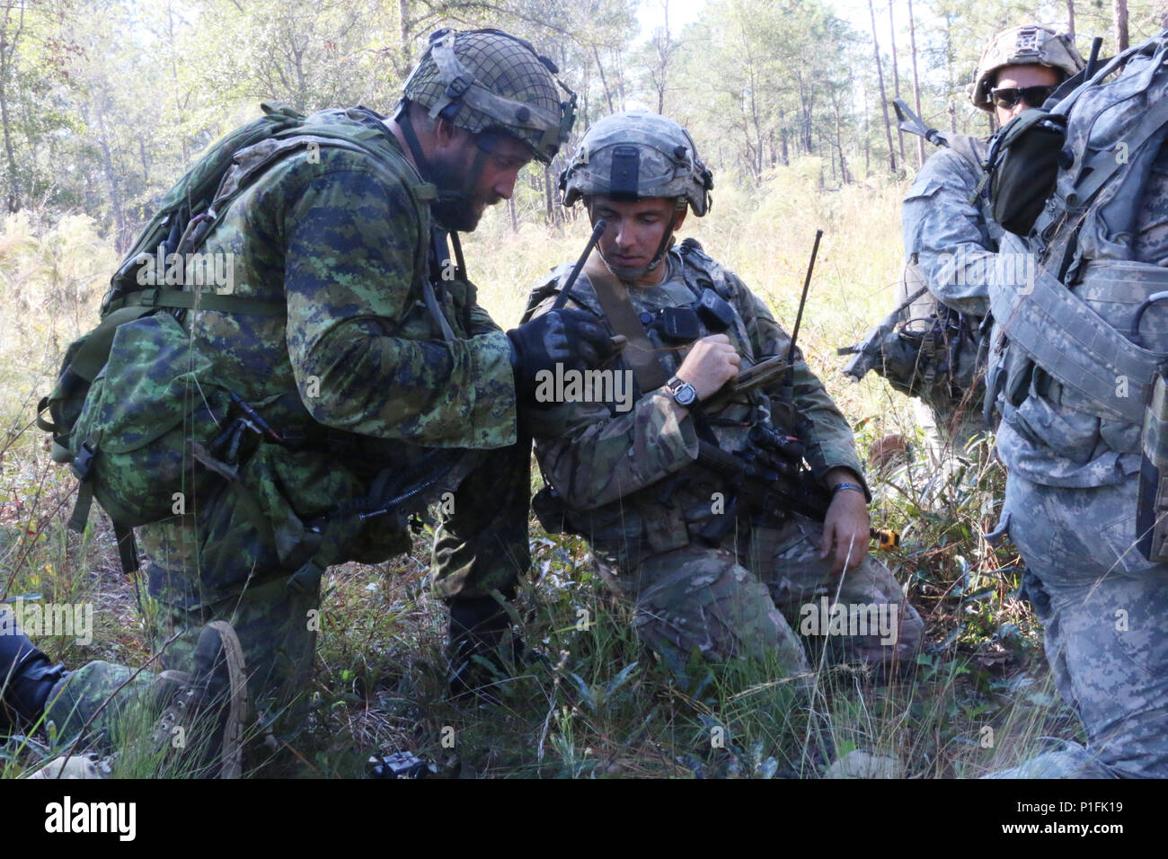 Les Forces armées canadiennes Le caporal James Dowson (à gauche), un animateur de section avec le Lake Superior Scottish Regiment, et U.S. Army, 1er lieutenant Travis Hines, chef de peloton au sein de la Compagnie Alpha, 3e Bataillon, 7e Régiment d'infanterie, 2e Brigade Combat Team, 3e Division d'infanterie, planifier leur prochain mouvement Fort Stewart, Ga., 31 octobre, 2016.troupes ont été participant à Bold Quest, un exercice d'entraînement combiné qui l'interopérabilité et à l'emploi de nouvelles technologies pour les troupes à tester. (U.S. Photo de l'armée par la CPS. Wyatt Davis/libérés) Banque D'Images