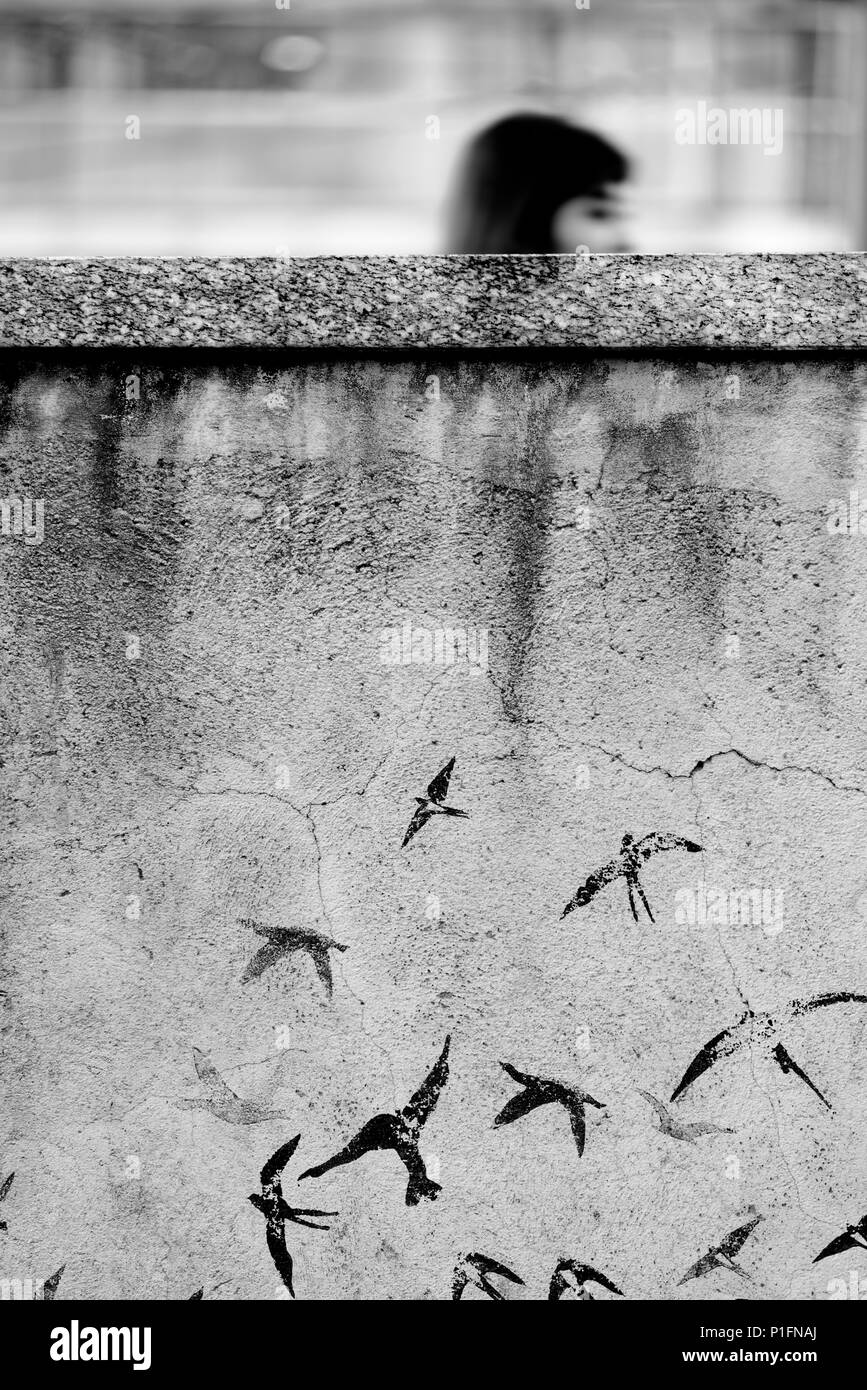 Mur en béton d'art de rue avec oiseaux peints Banque D'Images