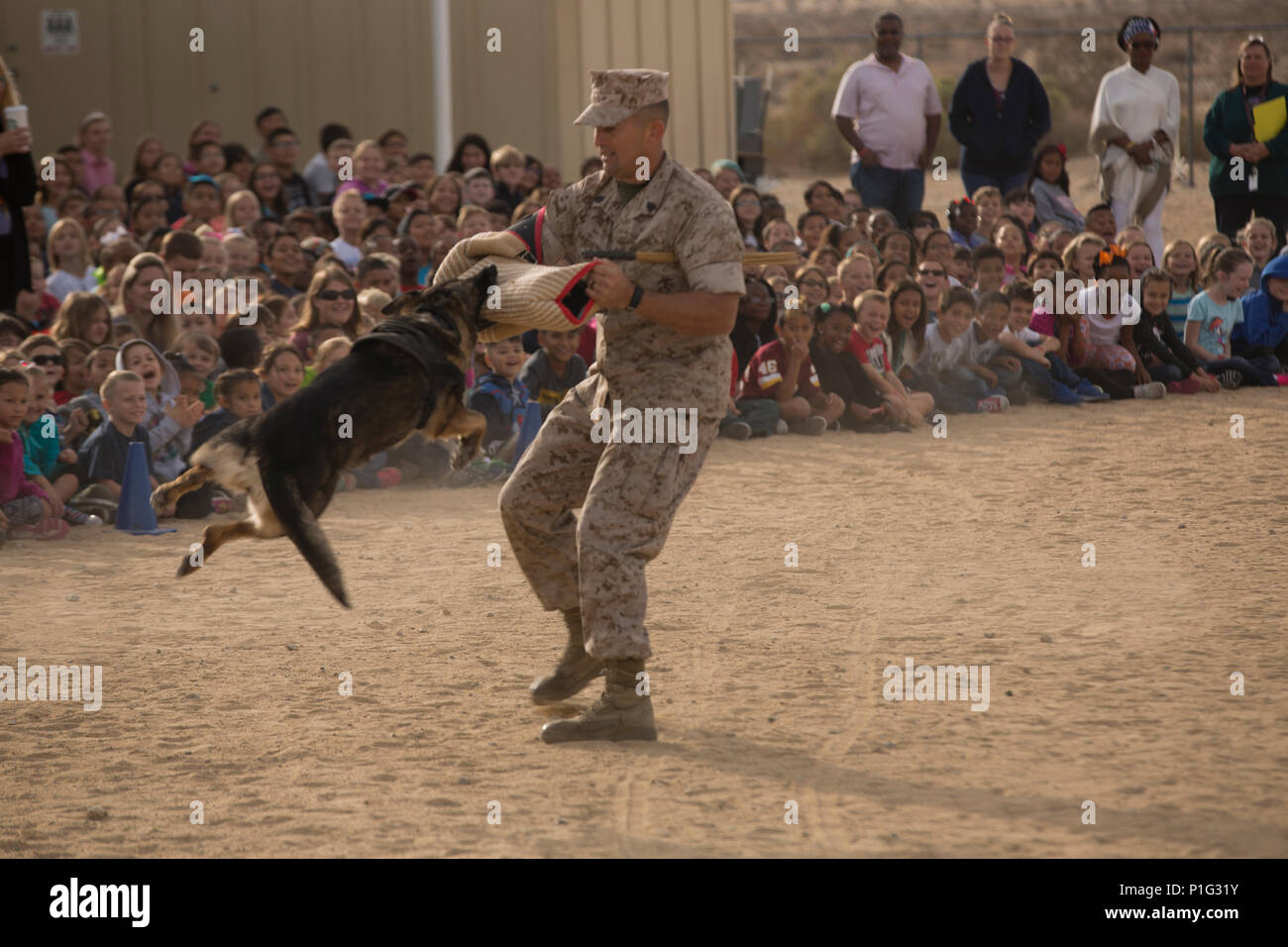 Bebe Chien De Travail Militaire Le Bureau Du Grand Prevot Tente D Assujettir Le S Charles Hardesty Maitre De Chenil Pmo Lors D Un K 9 Demonstration A L Ecole Elementaire De Condor A Bord Marine Bebe Chien De Travail Militaire Le Bureau Du Grand Prevot Tente D Assujettir Le S Charles Hardesty Maitre De Chenil Pmo Lors D Un K 9 Demonstration A L Ecole Elementaire De Condor A Bord Marine