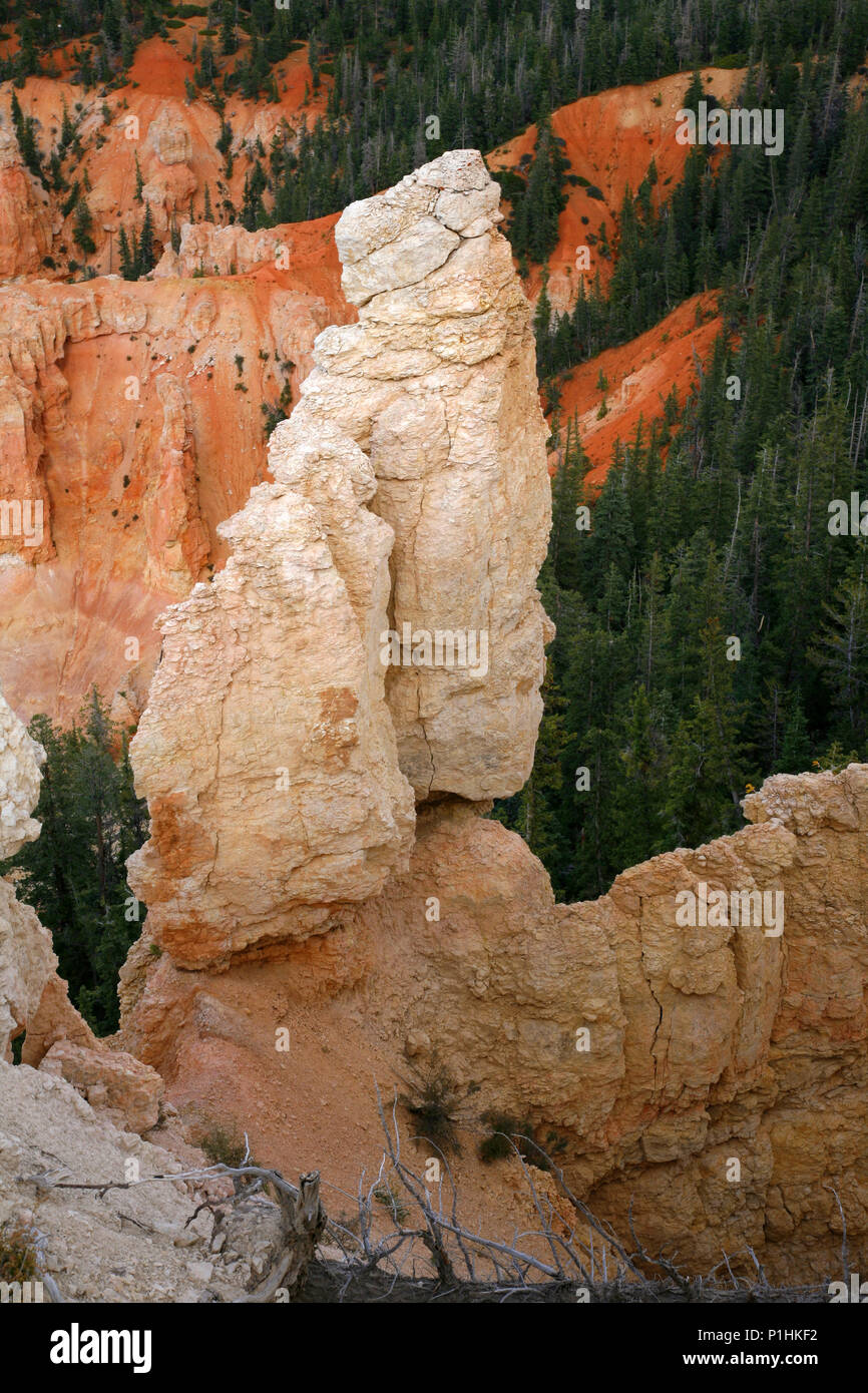 Beaucoup de spires par l'érosion à sculpté à Bryce Canyon National Park, Utah, USA. Banque D'Images