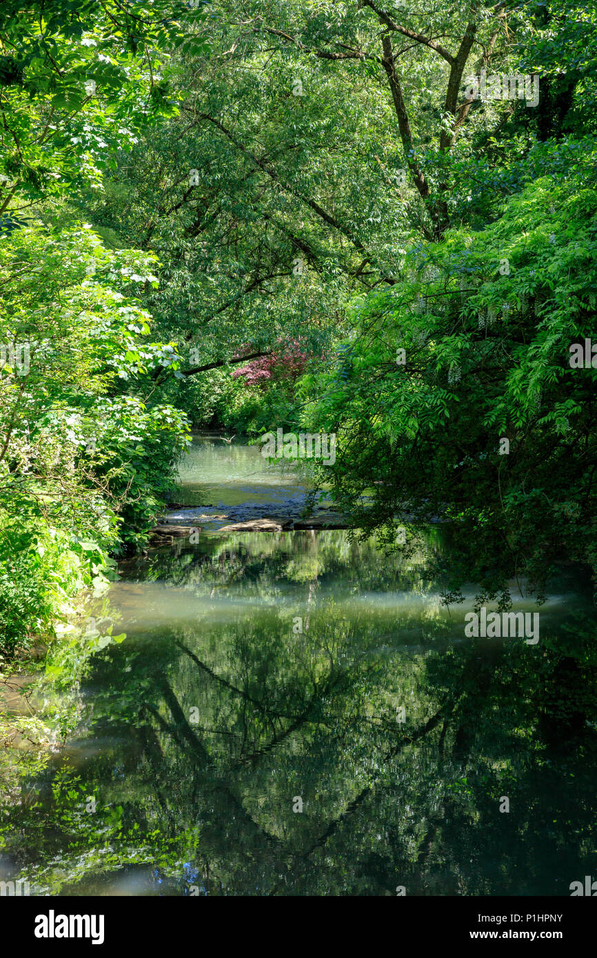 L'idyllique Rivière Avon (Direction générale de Tetbury) vers le bas par la fabrique à Malmesbury, Wiltshire, Royaume-Uni Banque D'Images