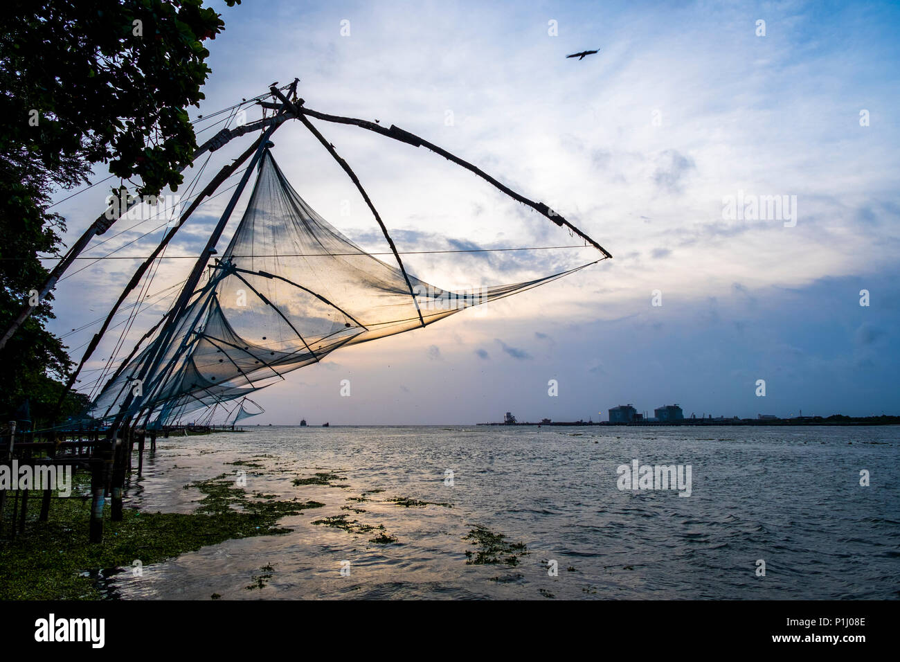 Filets de pêche chinois ('Cheena vala') à fort Kochi, Kochi, Kerala State, India. Banque D'Images