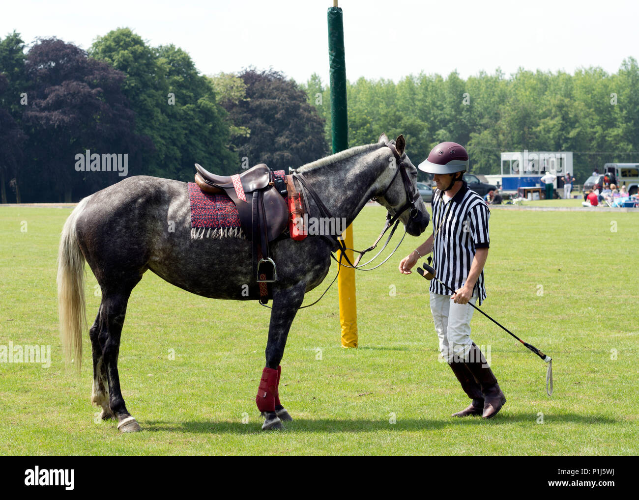 Un juge-arbitre avec son polo pony à l'Universités Nationales Polo Championships à Offchurch Bury, Warwickshire, UK Banque D'Images