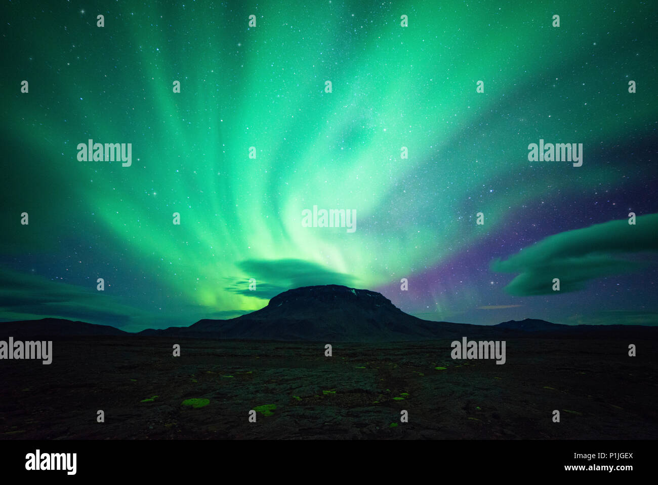 Northern Lights dans le ciel de nuit dans le désert du désert de lave, Herðubreið, Ódáðahraun, Austurland, Askja, Highlands, l'Islande Banque D'Images