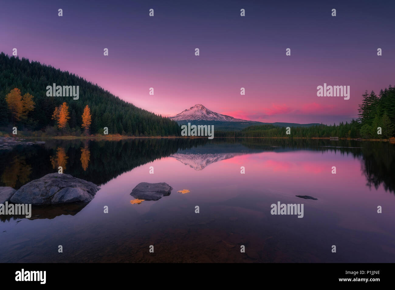 Réflexions sur le lac Trillium avec volcan Mount Hood, Clackamas County, Oregon, USA Banque D'Images