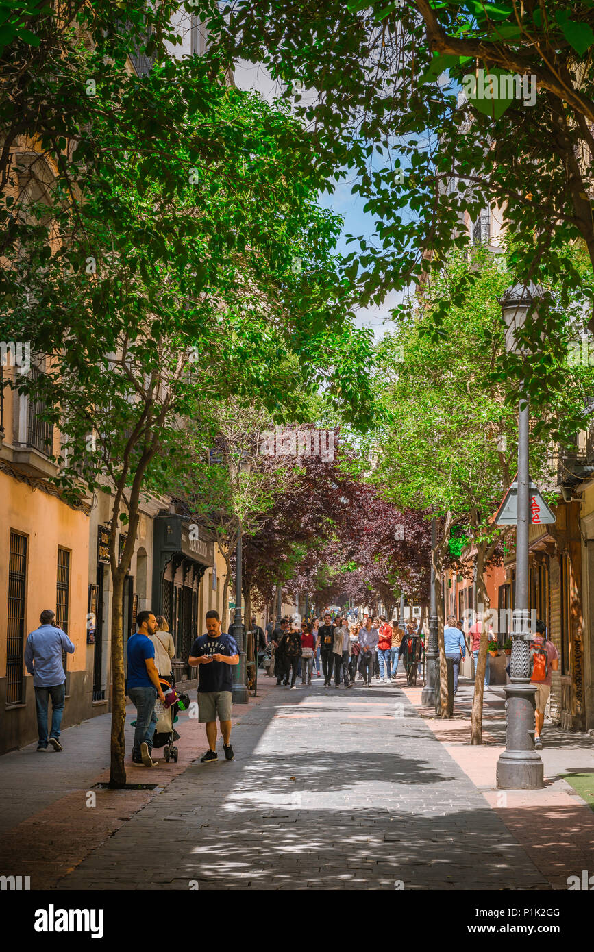 Rue Madrid Huertas, vue en été d'une rue typique bordée d'arbres dans le quartier historique de Huertas à Madrid, Espagne. Banque D'Images