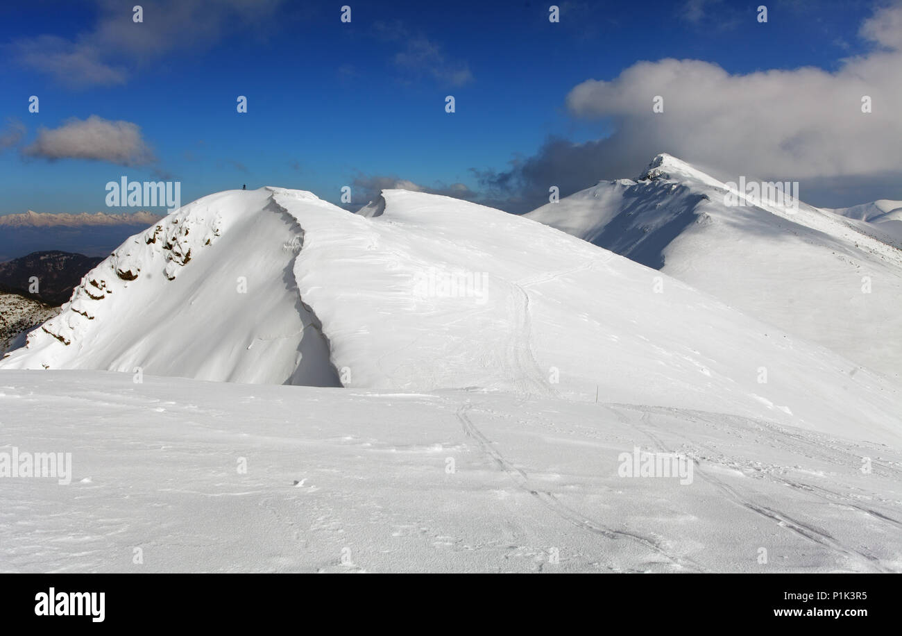 La Slovaquie à la montagne l'hiver, les Basses Tatras Banque D'Images