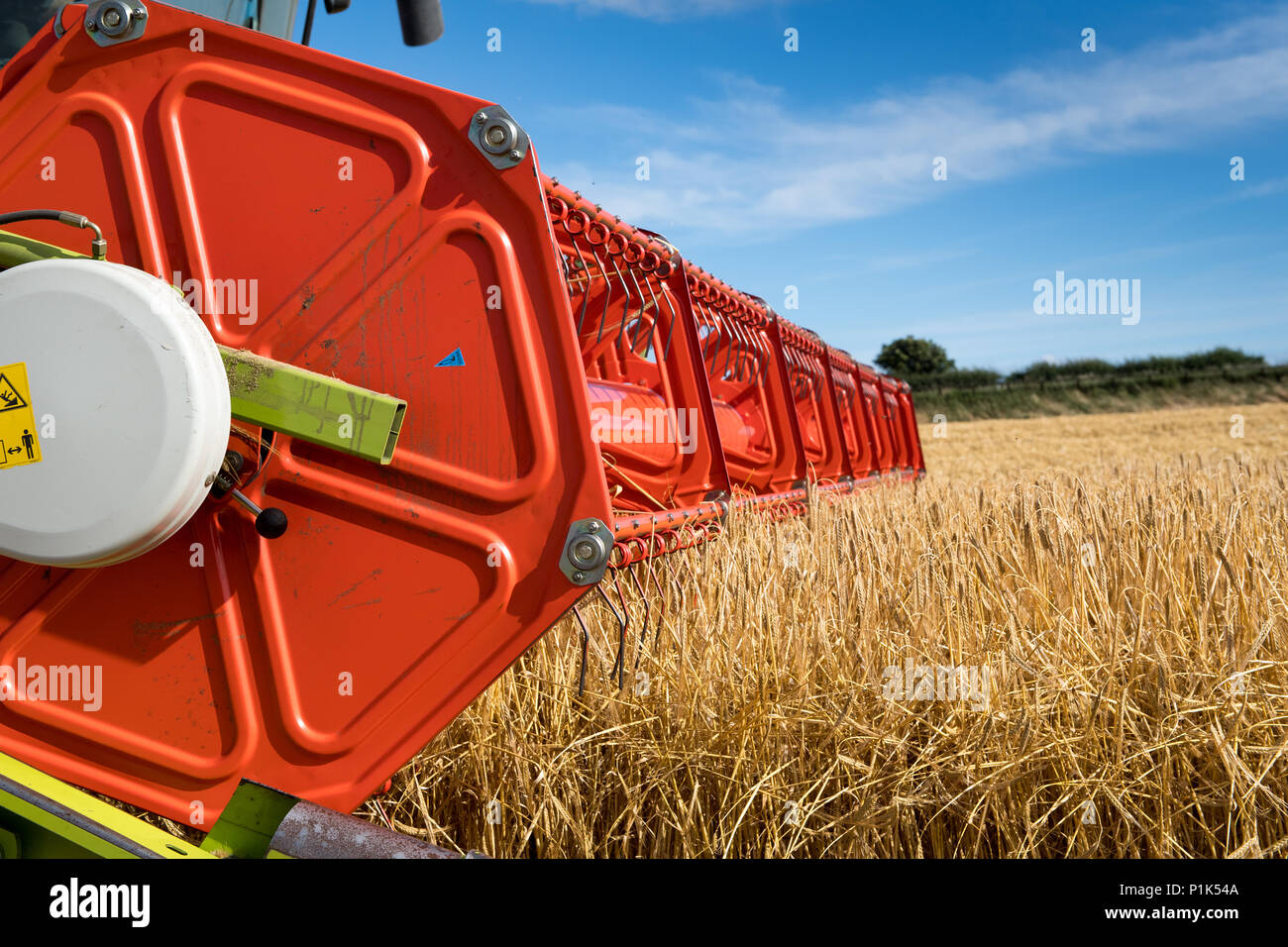 Close up of a Claas V900 35ft combiner avec tête de caméras, au travail, à la récolte de l'orge. North Yorkshire, UK. Banque D'Images