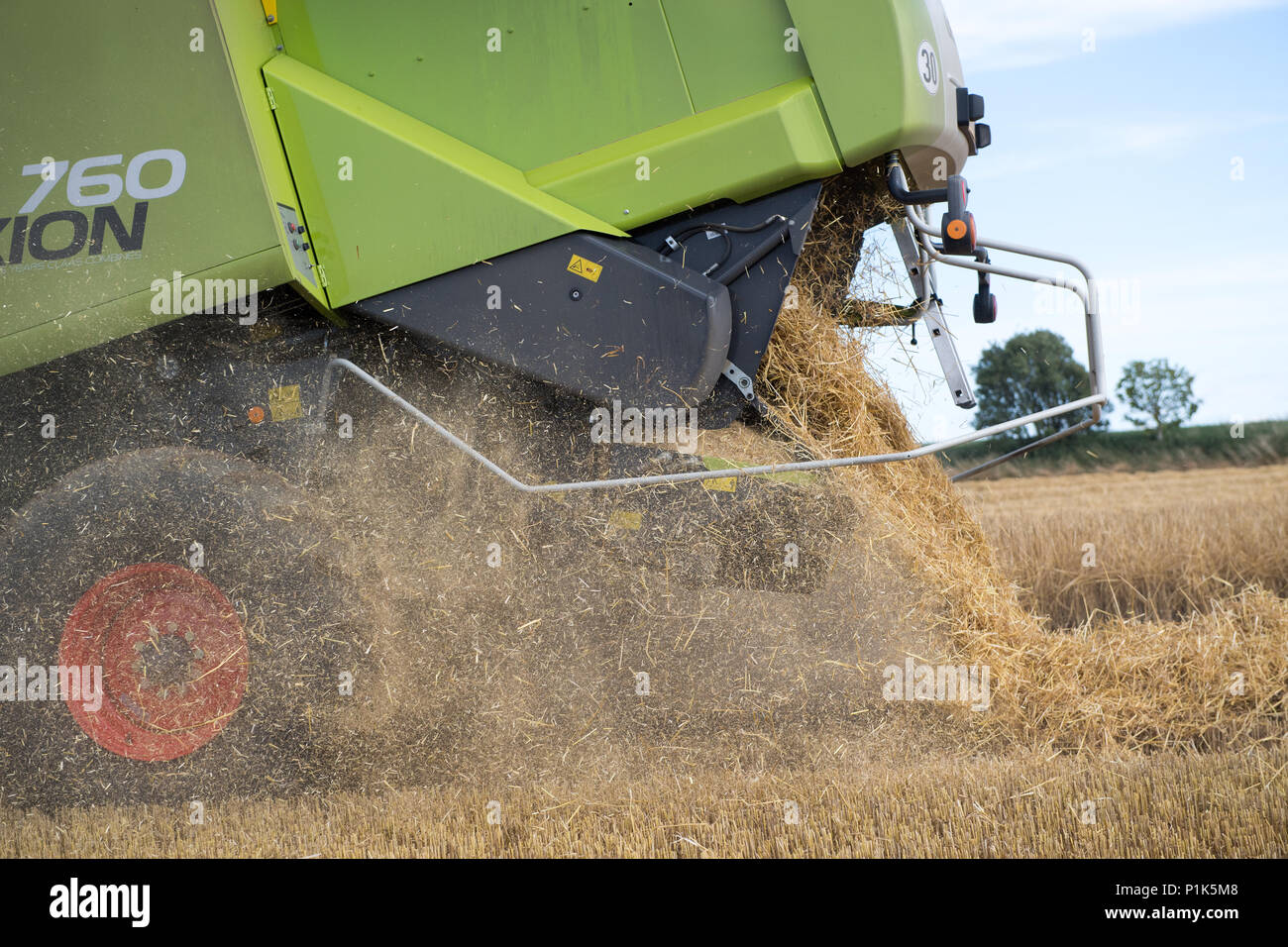 Lexique Claas 760 combinant l'orge, avec de la paille provenant de la décharge arrière. Le Yorkshire, UK. Banque D'Images