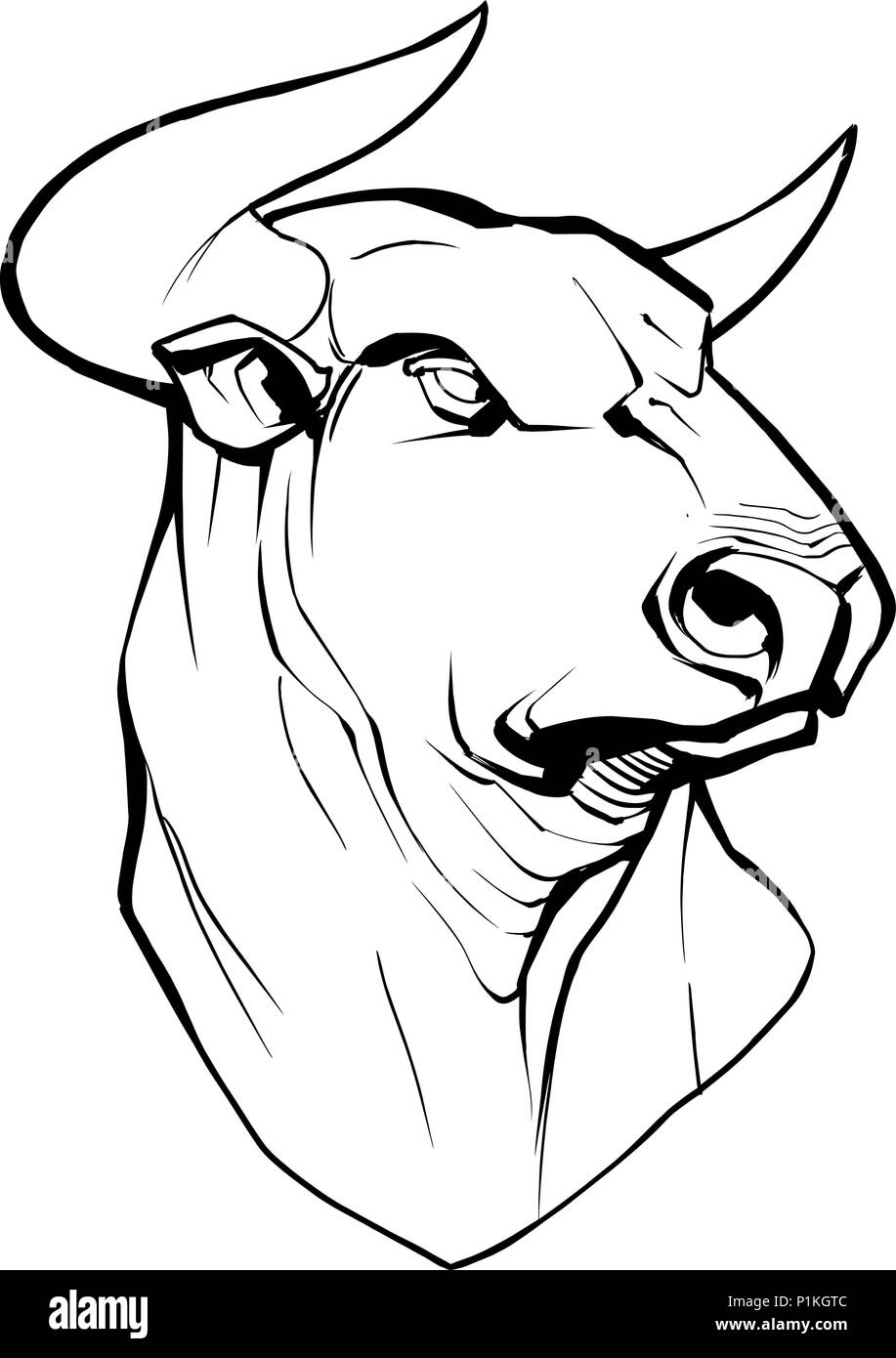 Bull on White Illustration de Vecteur