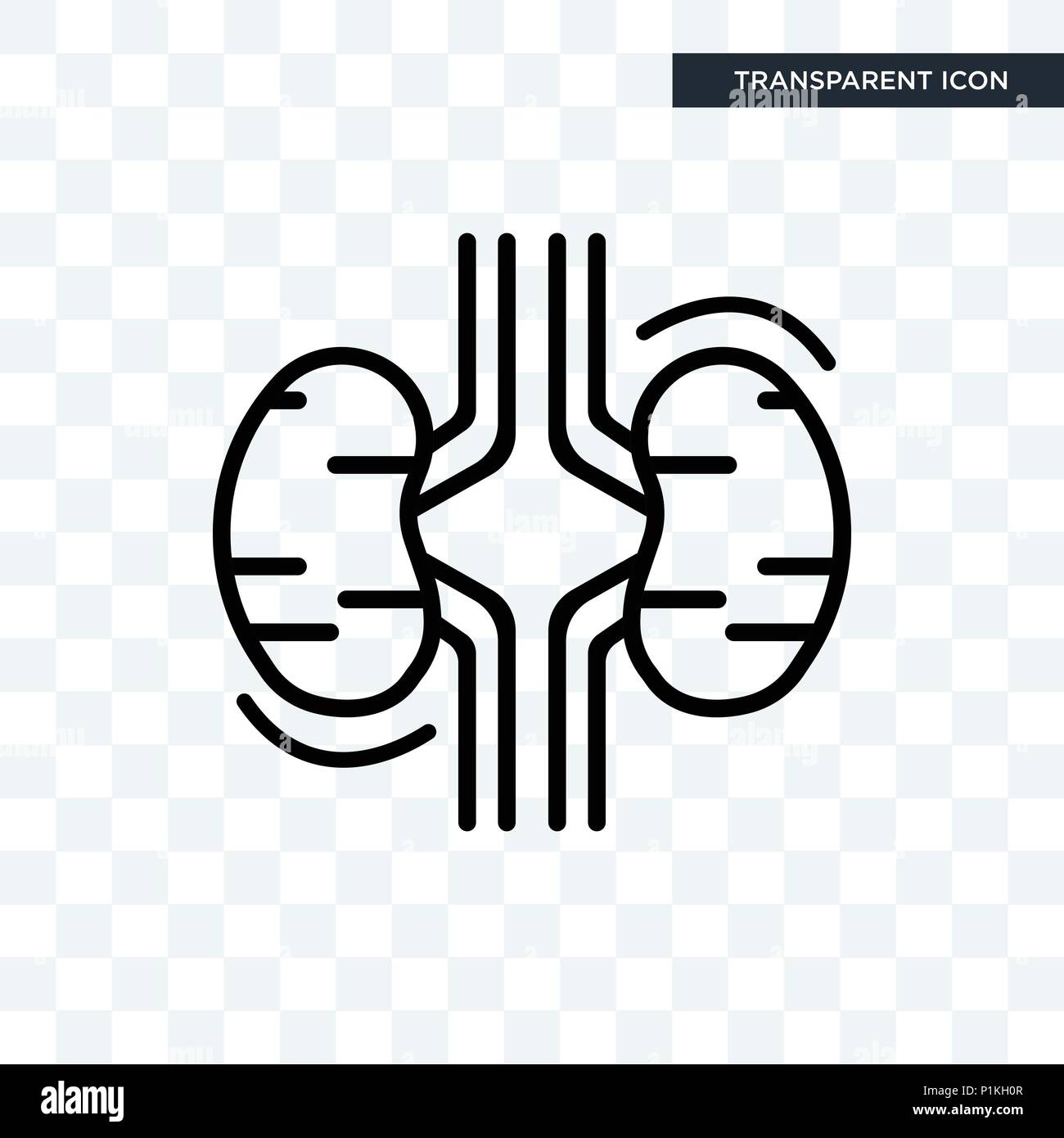 Deux Reins icône vecteur isolé sur fond transparent, deux reins concept logo Illustration de Vecteur