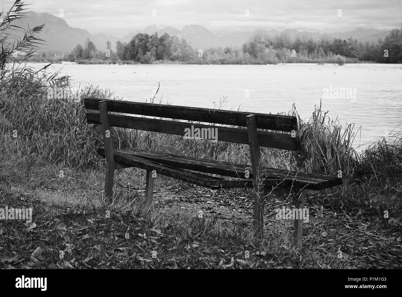 un ancien banc devant le lac en automne Banque D'Images