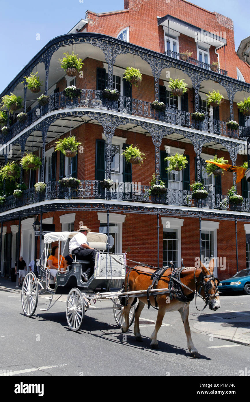 La calèche voyage touristique, à l'angle de Royal & Dumaine Street, quartier français, la Nouvelle Orléans, Louisiane, USA Banque D'Images