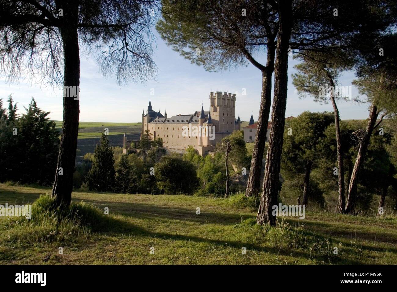 Segovia capitale ; vista del Alcázar desde bosque próximo. Banque D'Images