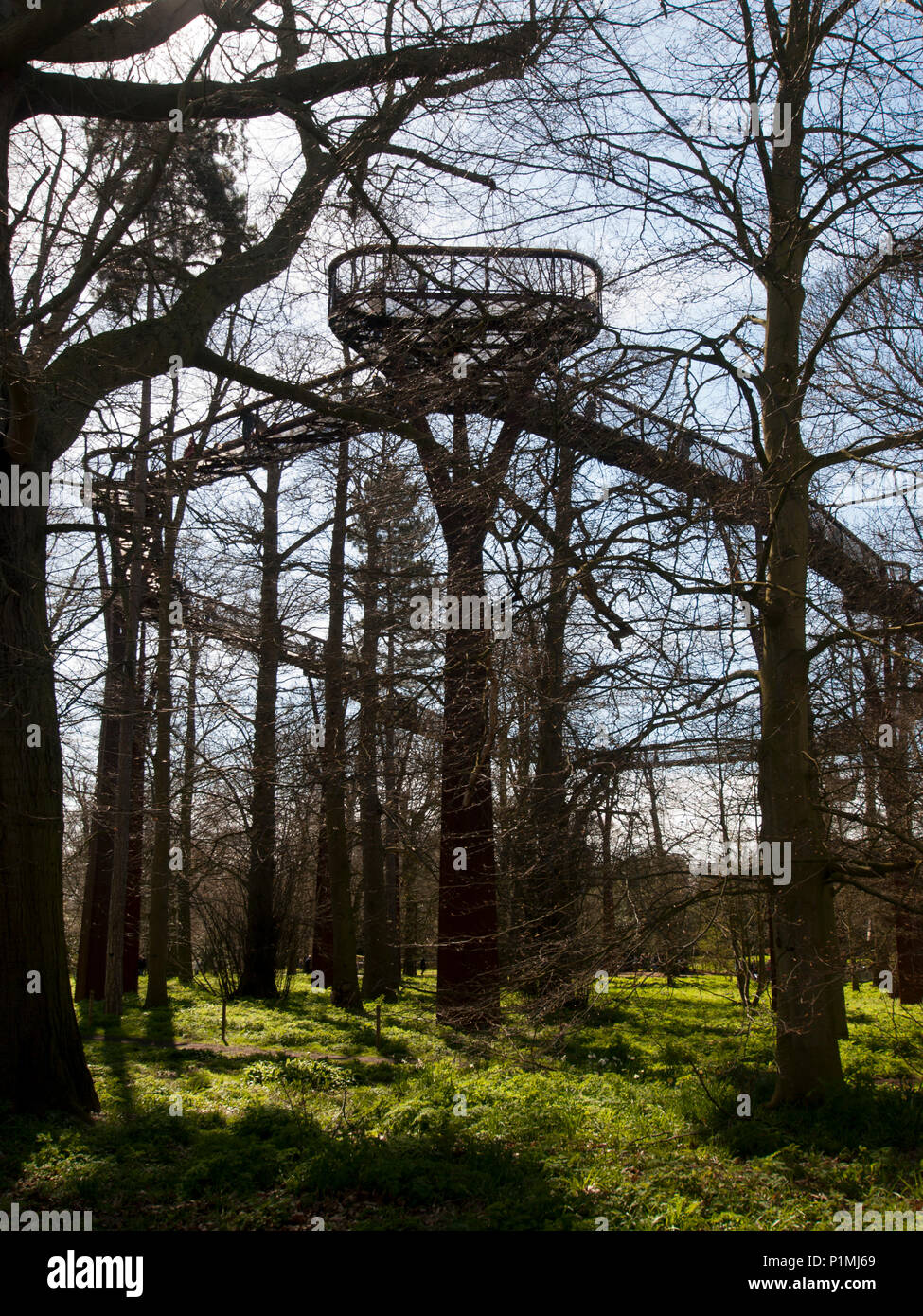 Treetop walkway à Kew gardens, Richmond. Banque D'Images