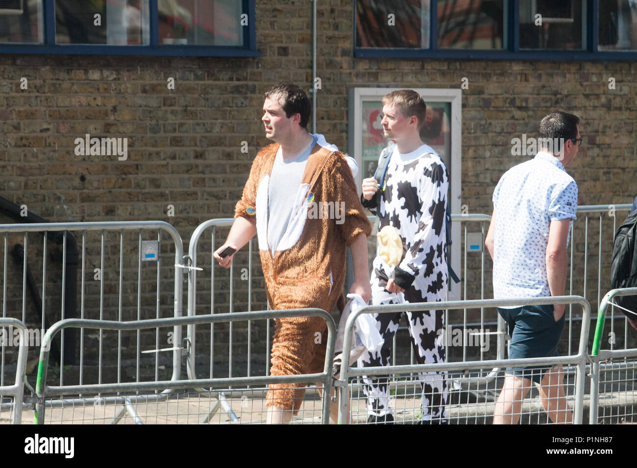 London UK. 13 juin 2018. Fans déguisés pour arriver le premier jour International match entre l'Angleterre et l'Australie à la Surrey dans Kennington Oval Crédit : amer ghazzal/Alamy Live News Banque D'Images