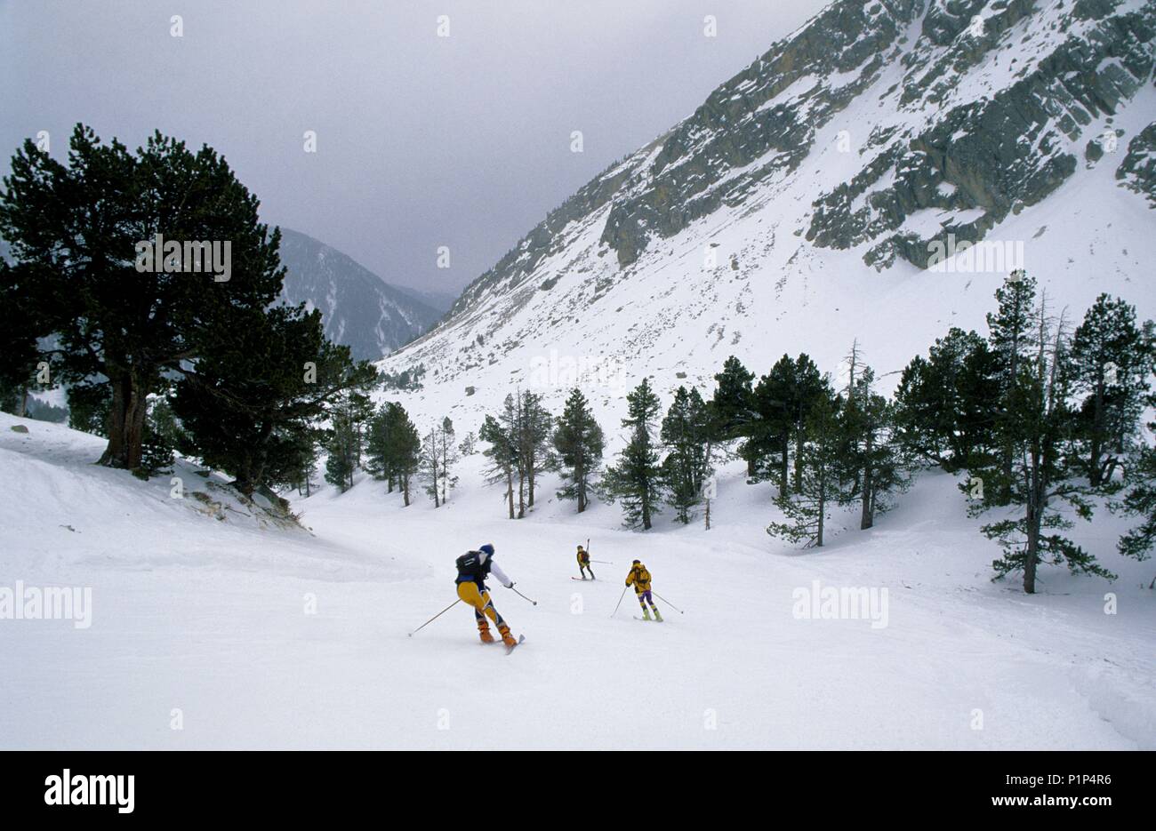 Vallter 2000 ; la estación de ski  + del Pirineo oriental ; motores / esquiadores. Banque D'Images