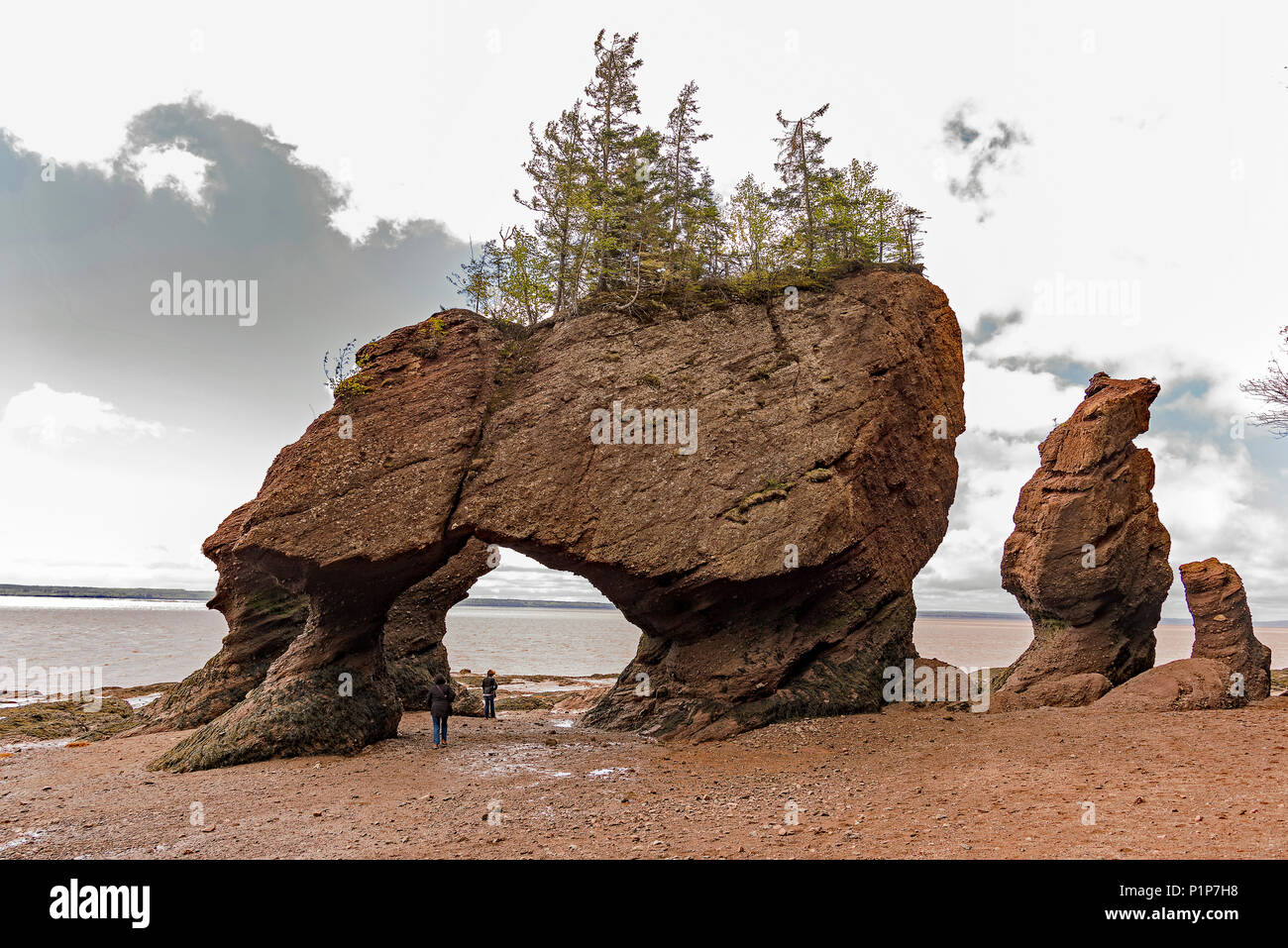 Parc des rochers Hopewell Rocks, Hopewell Cape, NB, Canada Banque D'Images