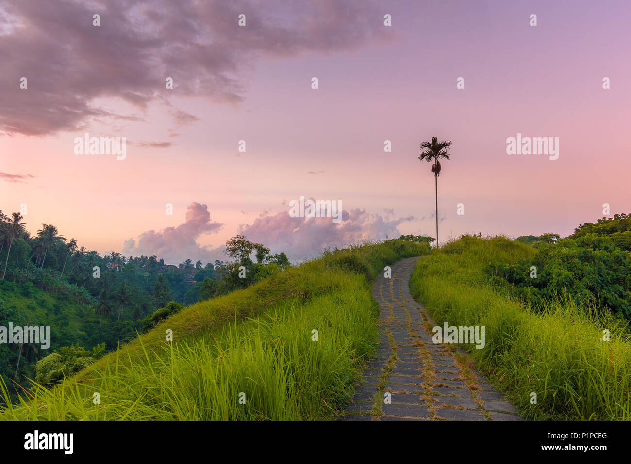 Campuhan Ridge à pied dans l'aube, et une voie pavée sur les collines, d'un sentier à l'extérieur d'Ubud, Bali, Indonésie, 15 avril, 2018 Banque D'Images