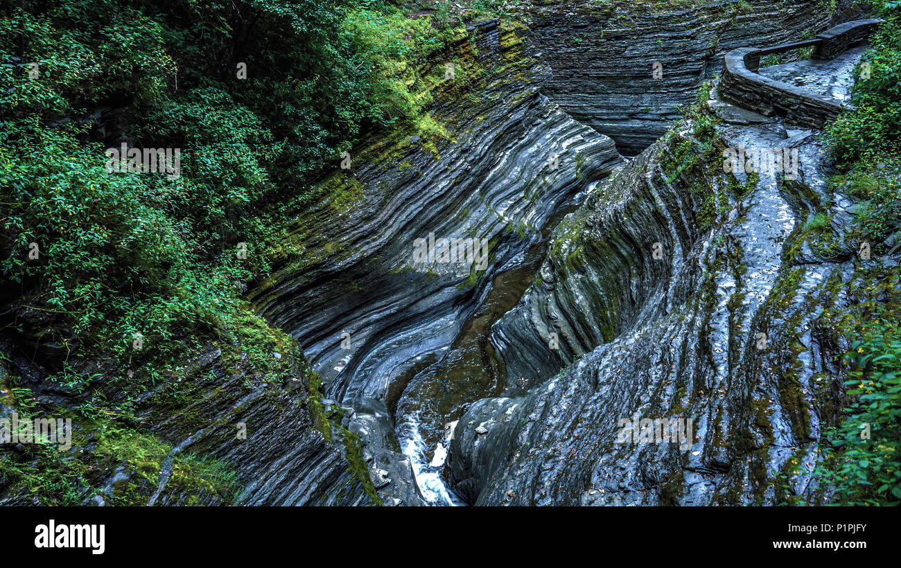 Canyon moussu Banque D'Images