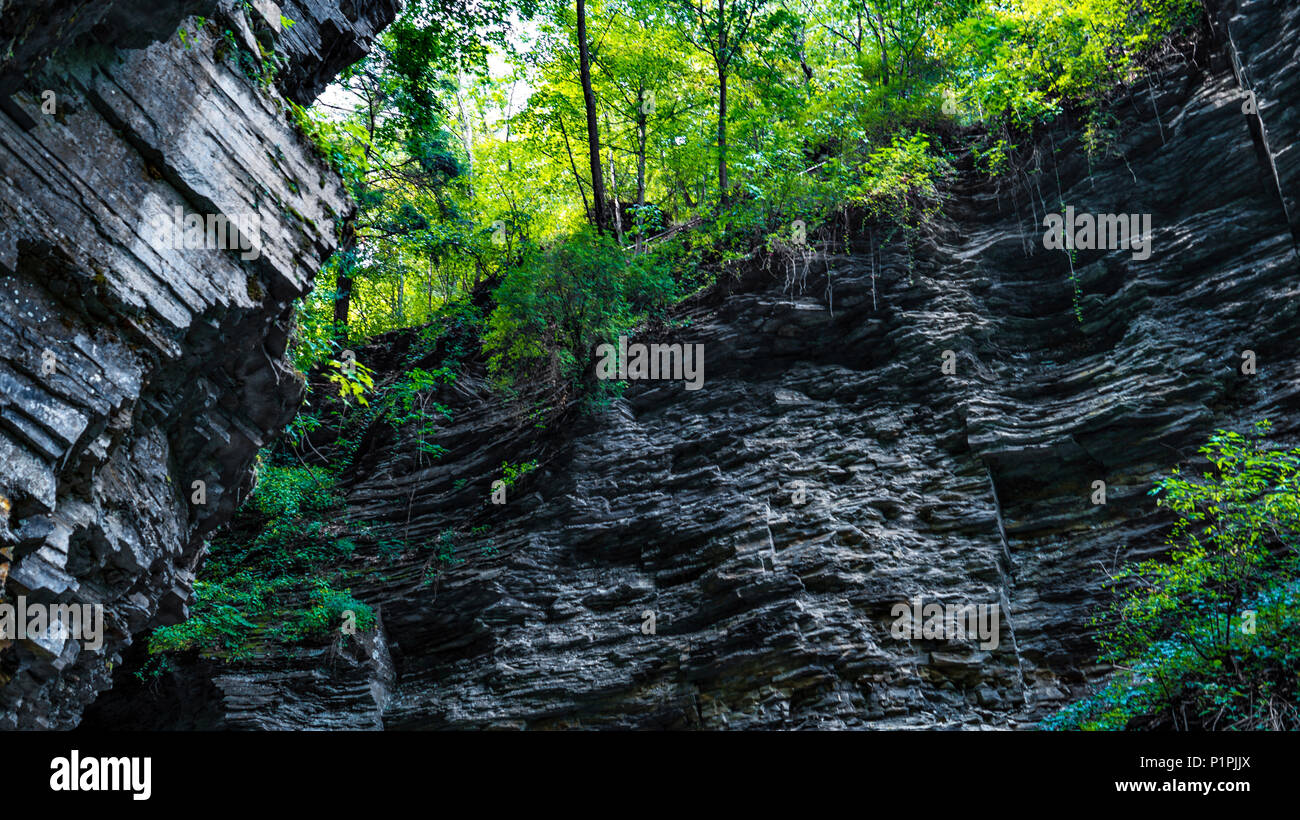 Canyon moussu Banque D'Images
