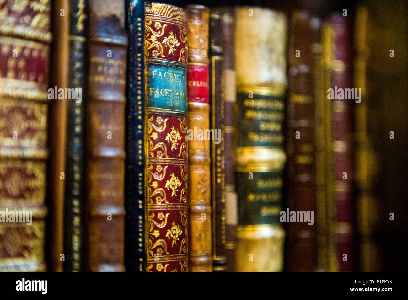 Épines de vieux livres anciens reliés sur une étagère Banque D'Images