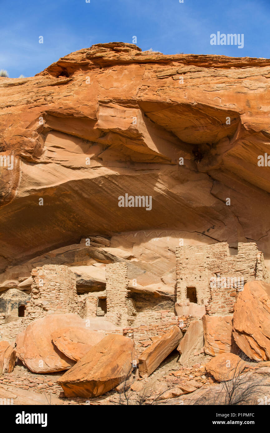 River House Ruin, ancestraux Puebloan Logement Falaise, 900-1300 AD, Shash Jaa National Monument ; Utah, United States of America Banque D'Images River House Ruin, ancestraux Puebloan Logement Falaise, 900-1300 AD, Shash Jaa National Monument ; Utah, United States of America Banque D'Images