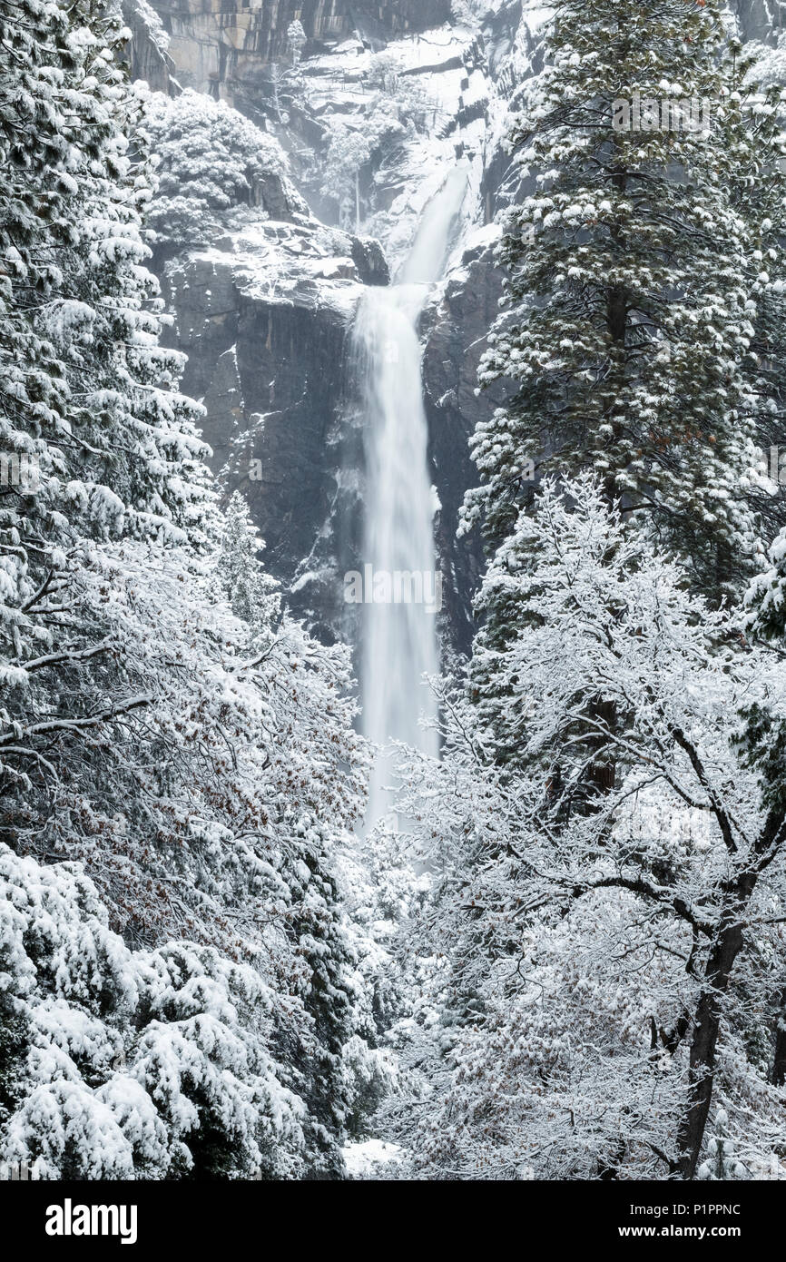 Yosemite Falls avec de la neige en hiver, la vallée de Yosemite, Yosemite National Park, Californie, États-Unis d'Amérique Banque D'Images