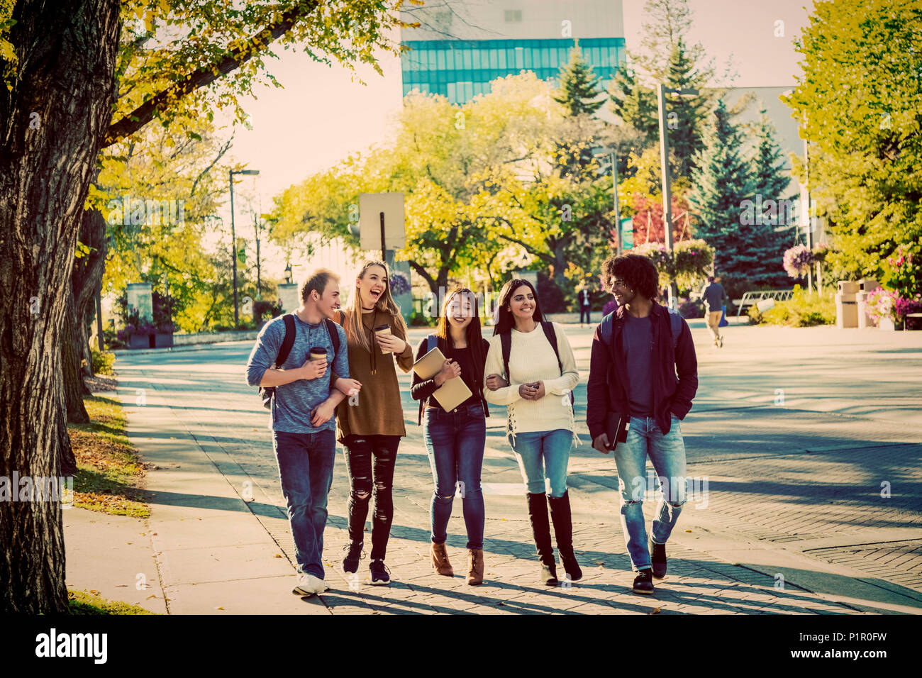 Diversité ethnique d'un groupe d'étudiants universitaires marcher et parler ensemble sur le campus à l'automne ; Edmonton, Alberta, Canada Banque D'Images