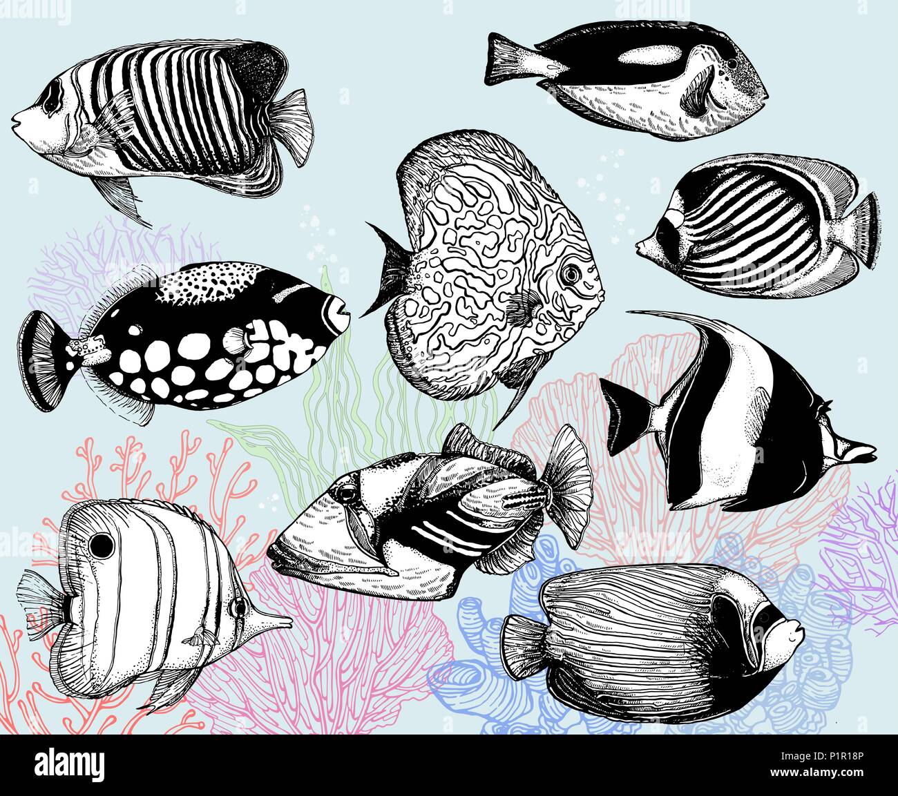 Ensemble de croquis dessinés à la main, les poissons tropicaux et les coraux de style. Vector illustration isolé. Illustration de Vecteur