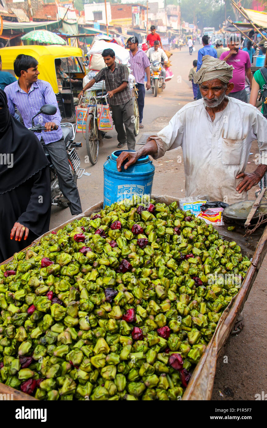 Vente local des châtaignes d'eau (singhara) au marché de rue à Fatehpur Sikri, Uttar Pradesh, Inde. La ville a été fondée en 1569 par l'Empire moghol Banque D'Images