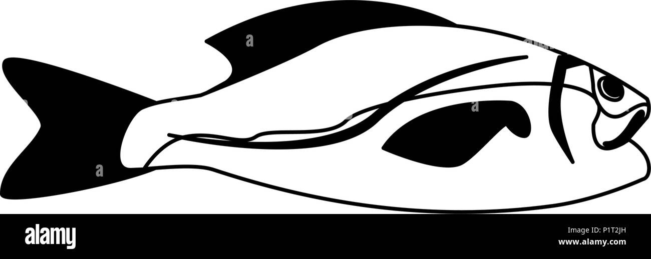 Fruits de mer Poissons sur lave en noir et blanc Illustration de Vecteur