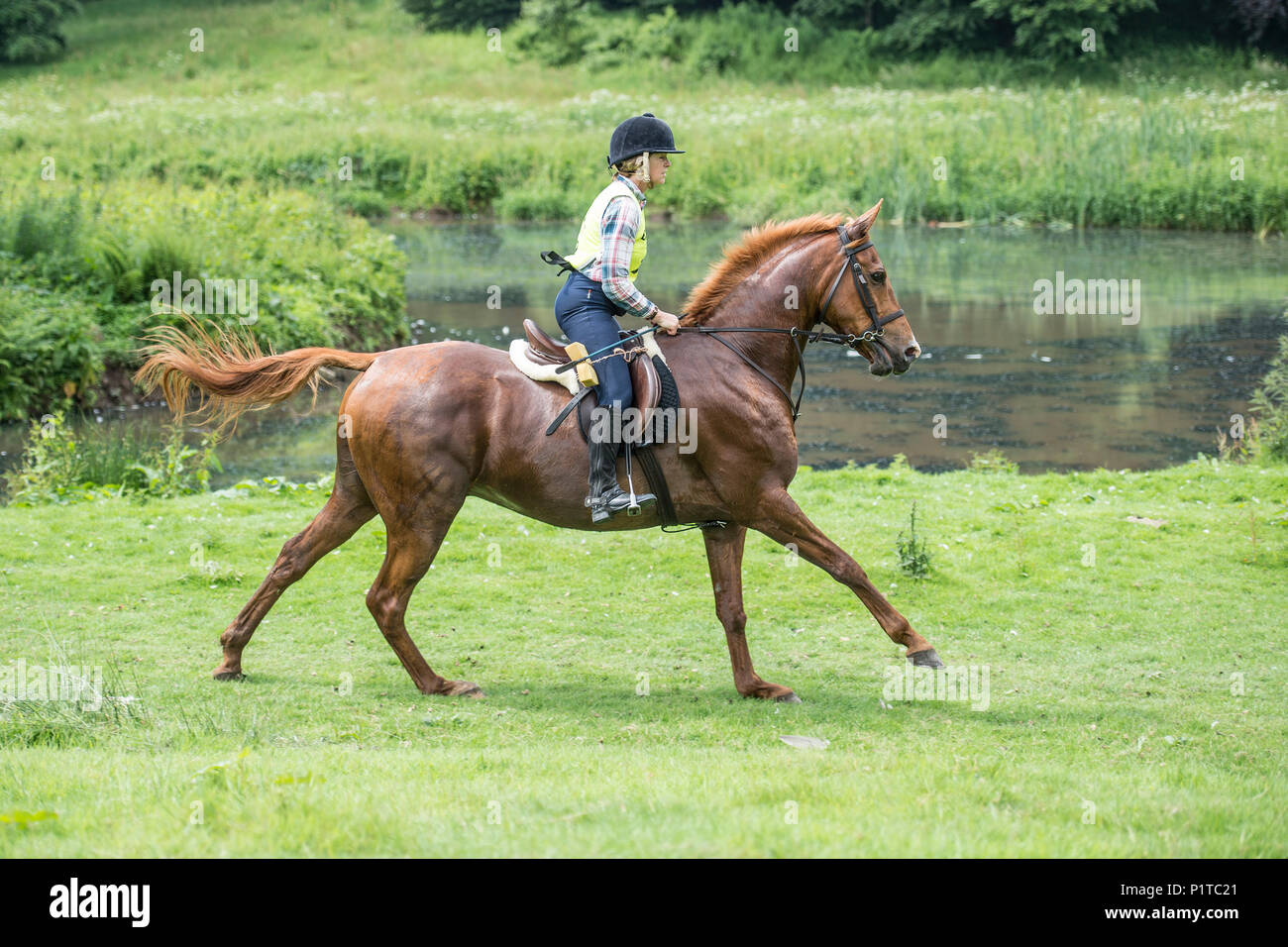 Galloping horse rider par un lac Banque D'Images