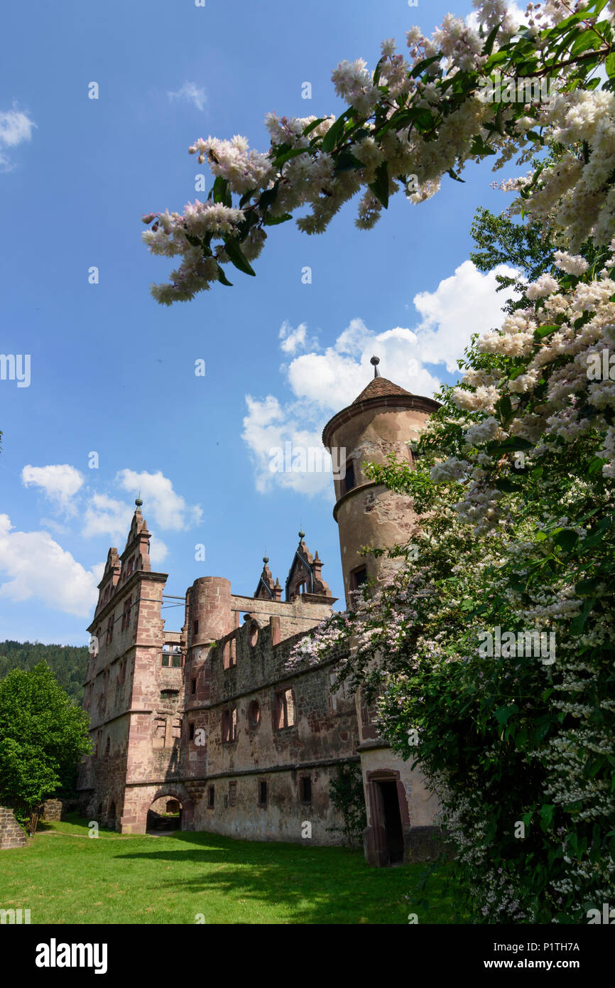 Quartier Hirsau Calw : : ruines du monastère de Saint Pierre et Saint Paul, ancien Schloss (château) en Allemagne, Bade-Wurtemberg, Schwarzwald, Forêt-Noire Banque D'Images