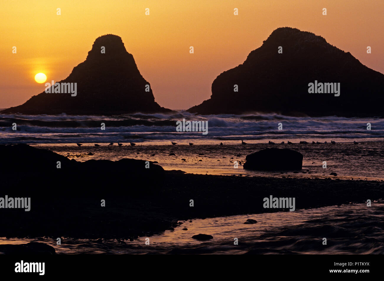 Le nord de l'Oregon Coast silhouetté rock formations au coucher du soleil. Banque D'Images
