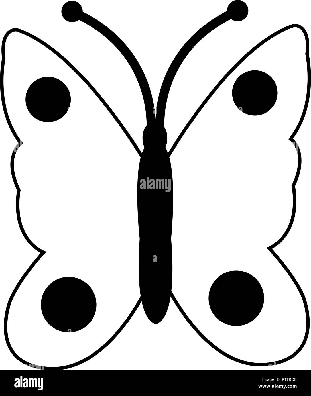 Beau papillon isolé dans le noir et blanc Illustration de Vecteur