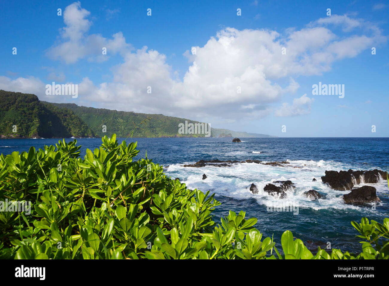 La côte nord de Maui vu de Keanae Peninsula ; Keanae, Maui, Hawaii, United States of America Banque D'Images