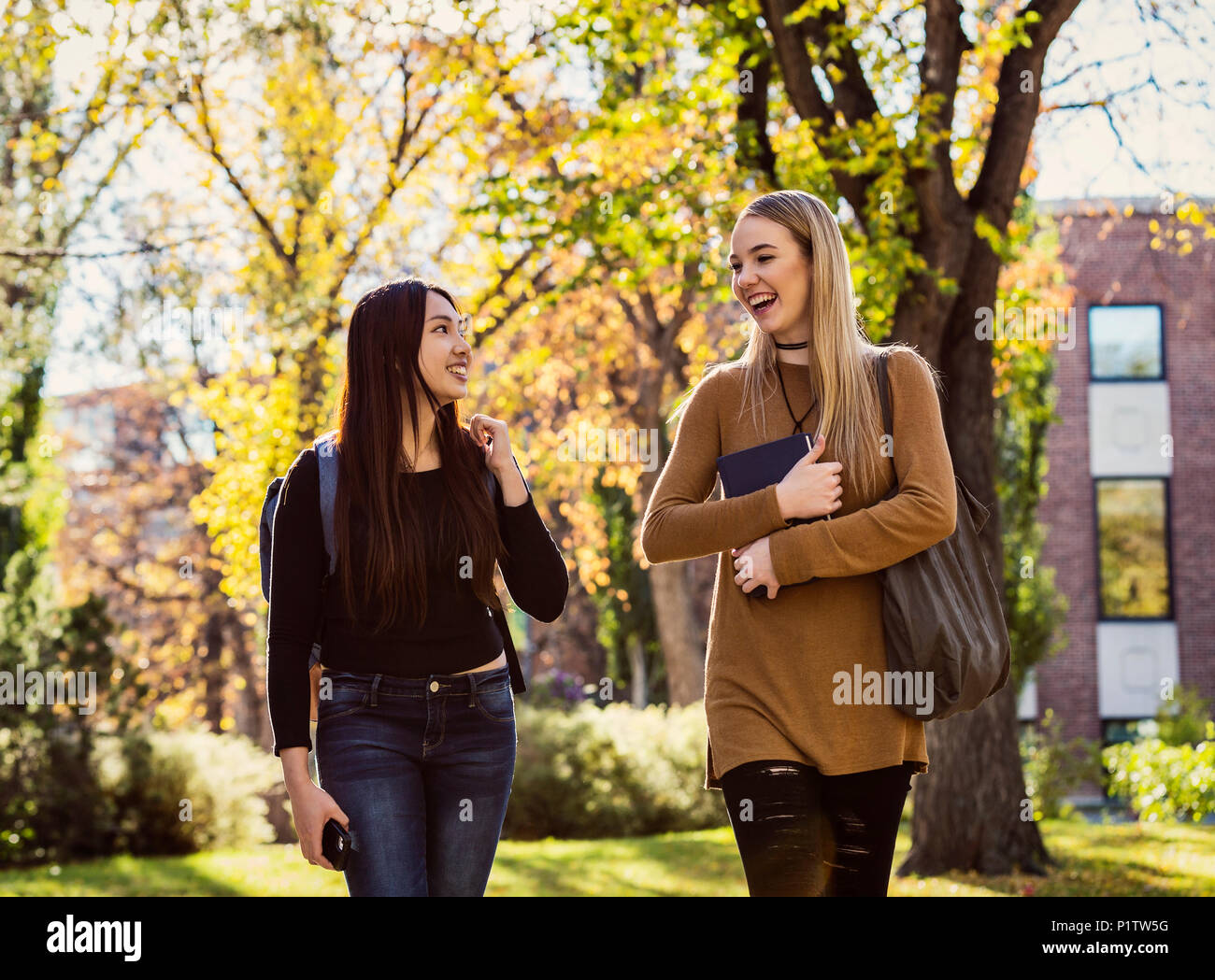 Deux jeunes femmes amis étudiants marcher et parler ensemble sur un campus universitaire ; Edmonton, Alberta, Canada Banque D'Images