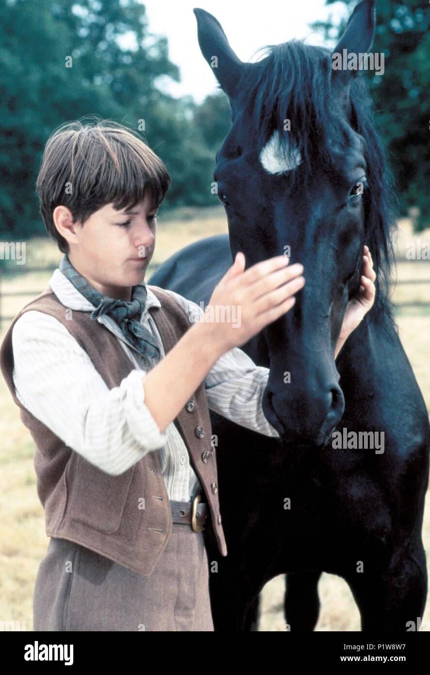 Titre original : Black Beauty. Titre en anglais : Black Beauty. Directeur de film : Caroline Thompson. Année : 1994. Credit : WARNER BROS. Images / HAMSHERE, KEITH / Album Banque D'Images