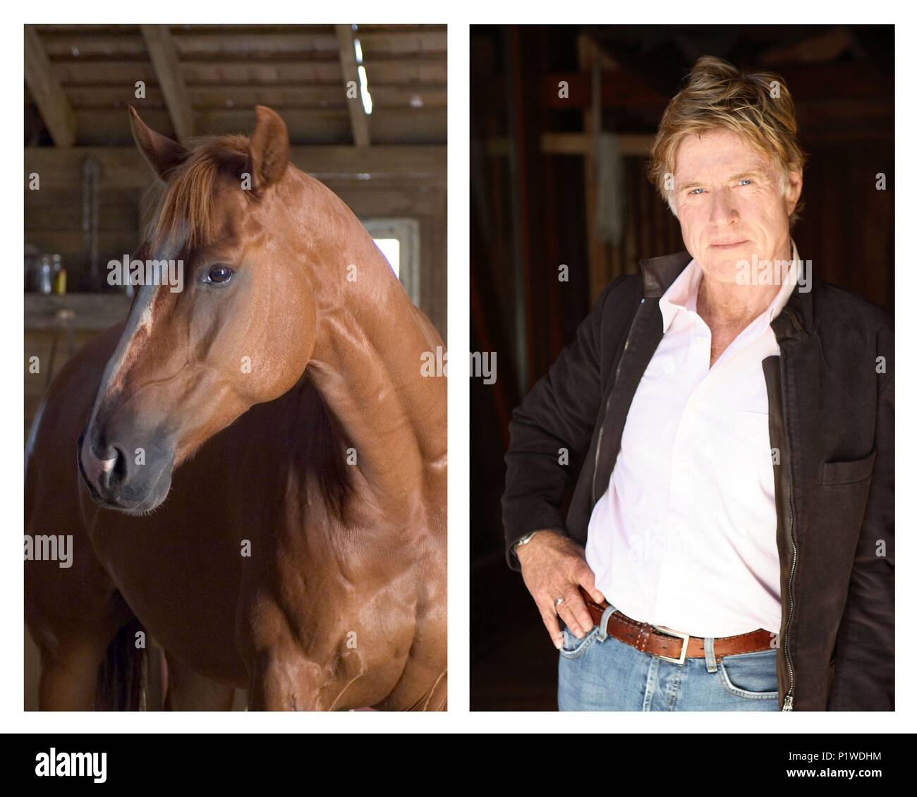 robert clergerie sale