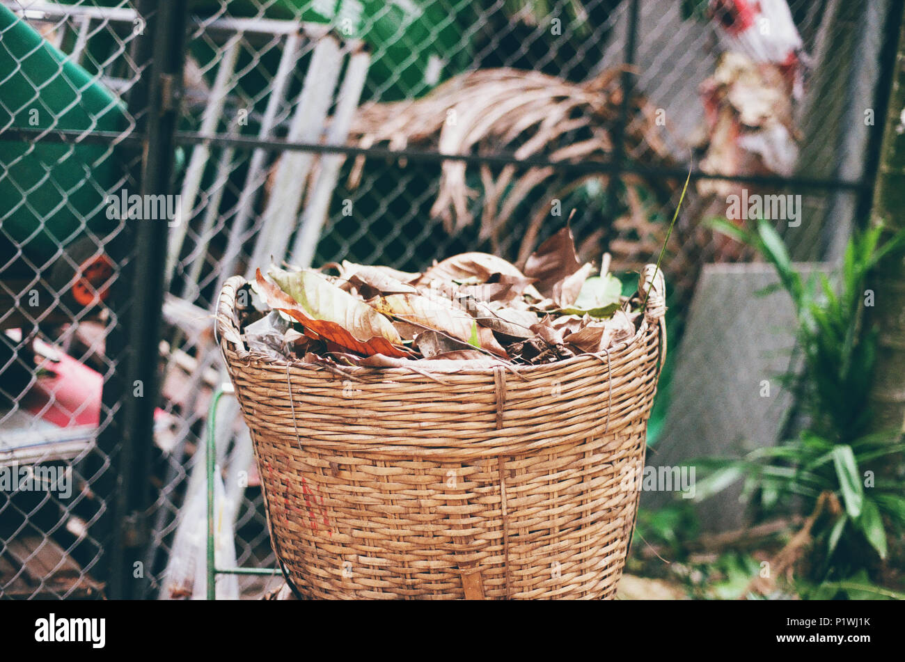 Panier d'herbe sur chantier Banque D'Images