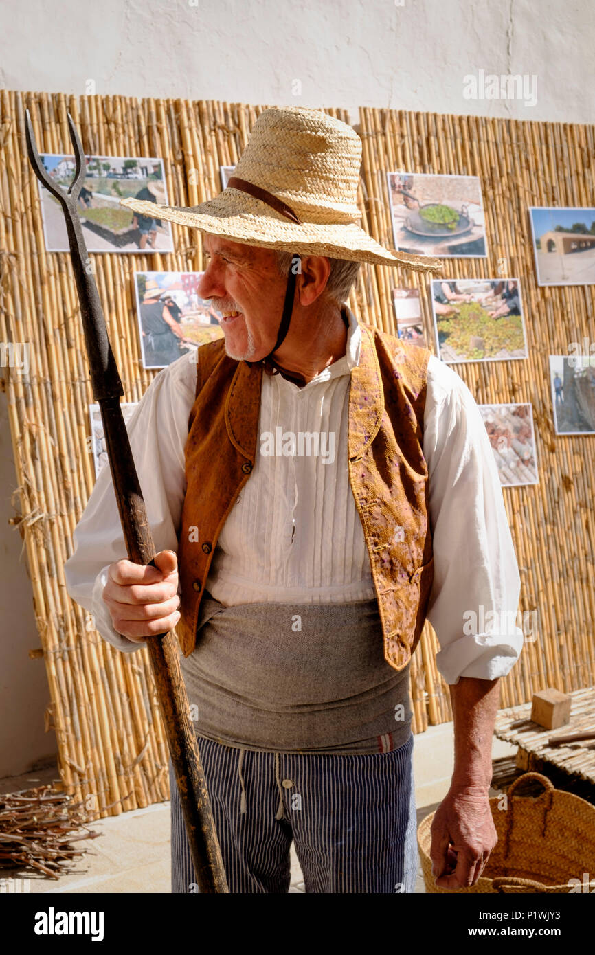 Homme habillé en costume traditionnel 19C comme un raisin cheveux de raisins pour produire des raisins à une fiesta espagnole Banque D'Images