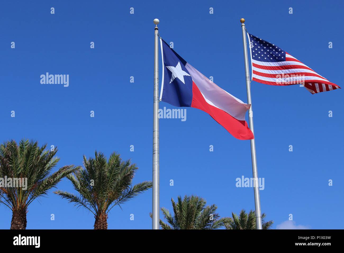 Texas drapeau, Lone Star State flag et Etats-Unis d'Amérique US flag contre fond de ciel bleu et de palmiers Banque D'Images