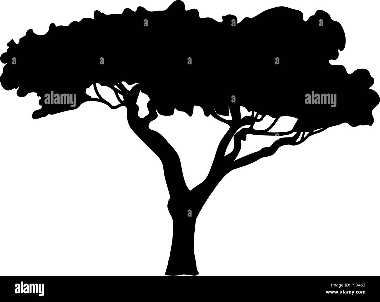L'arborescence de l'Acacia Silhouette de flore Illustration de Vecteur
