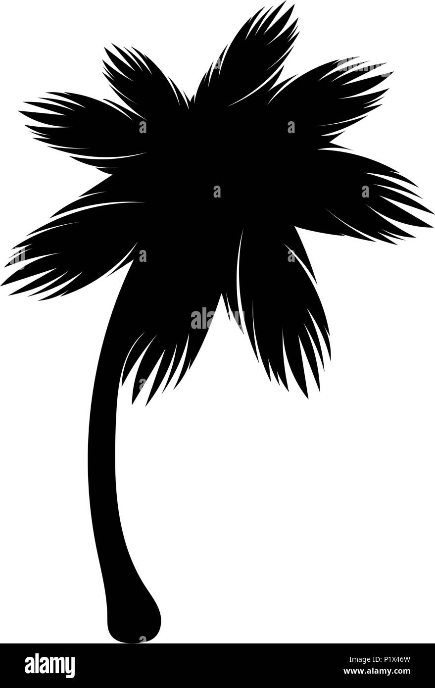 Palm tree Silhouette icône flore Illustration de Vecteur Palm tree Silhouette icône flore Illustration de Vecteur