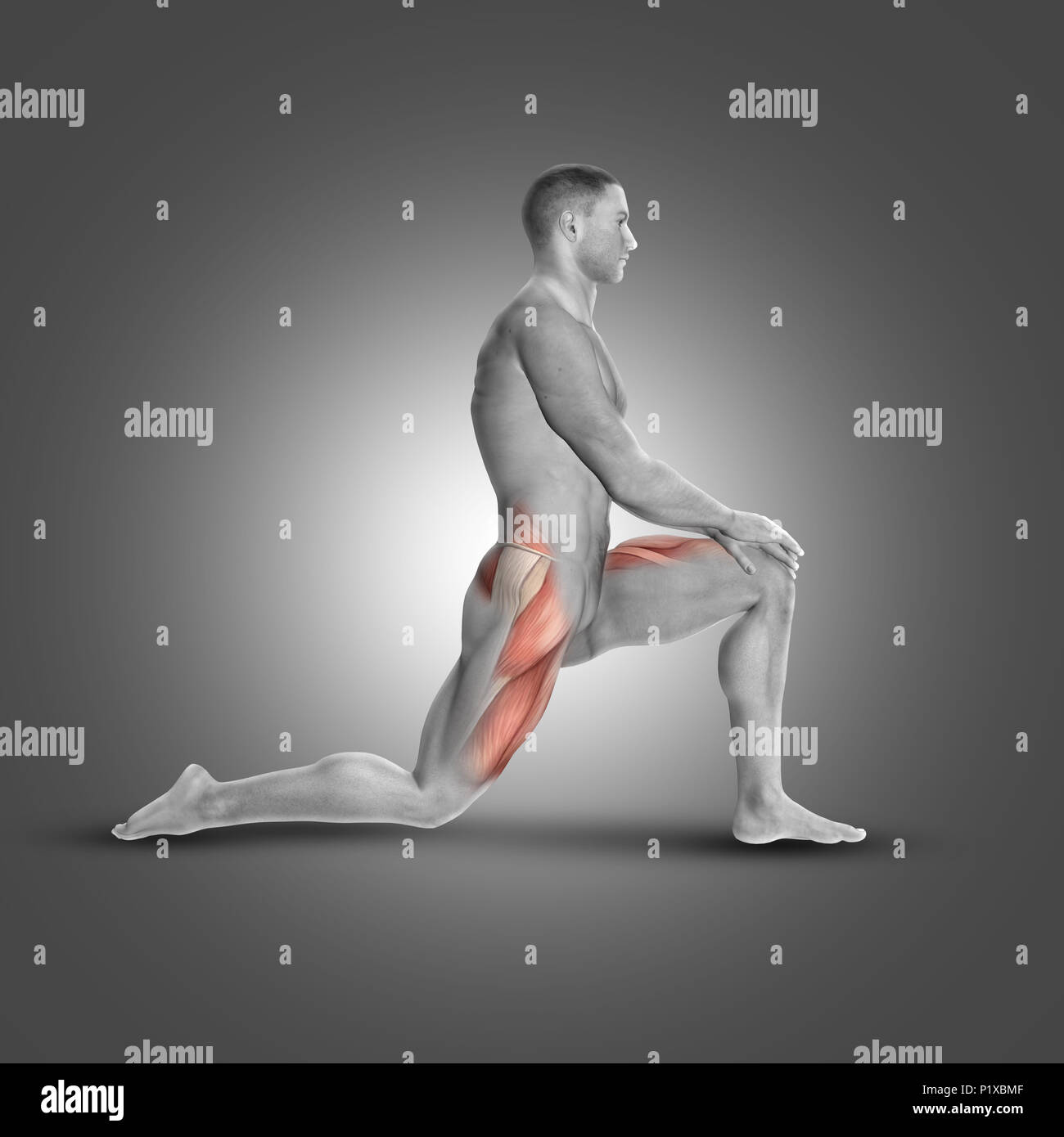 3D render of a figure masculine dans les muscles psoas iliaque stretch mettant à genoux utilisé Banque D'Images