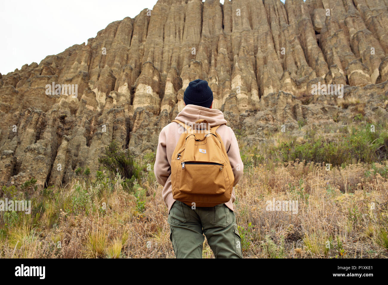 Admirant Valle de Las Animas, La nature magnifique des montagnes d'argile conçu sculptés par l'érosion, la pluie, vent et soleil. La Paz, Bolivie. Banque D'Images