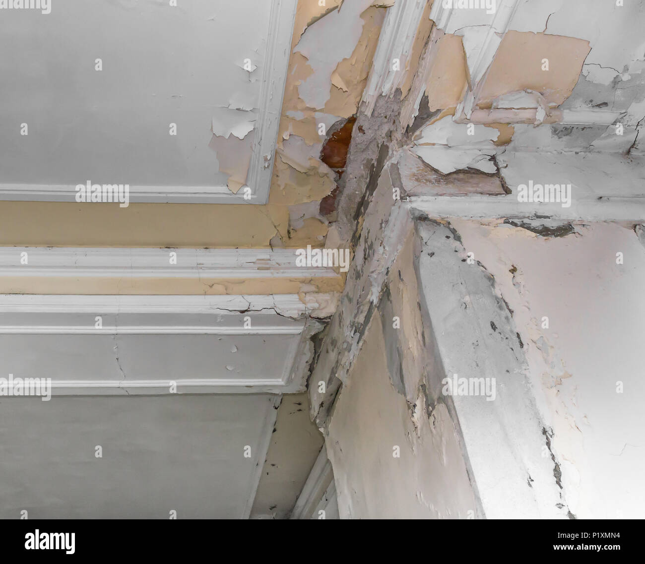 Plafond écaillé Banque de photographies et d'images à haute résolution -  Alamy