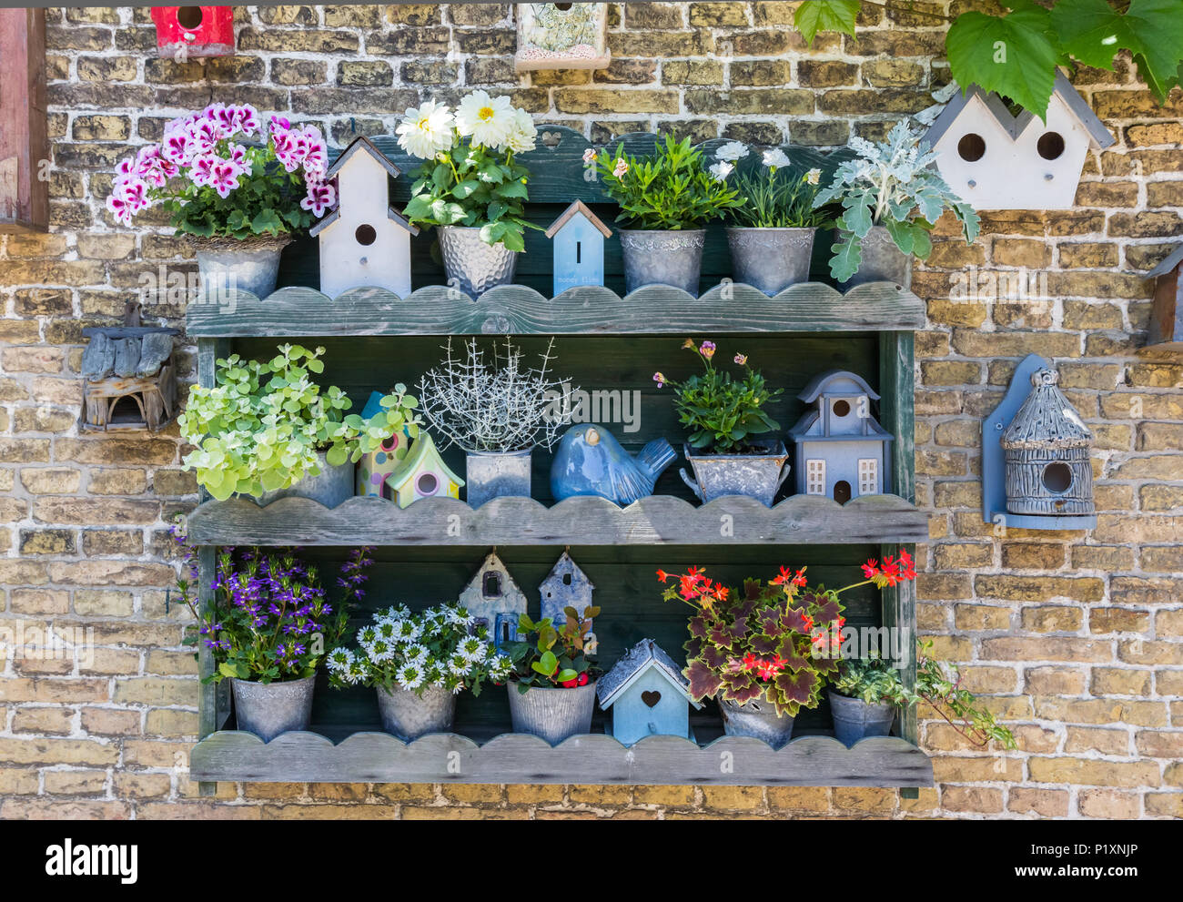 Collection de fleurs et de maisons d'oiseaux sur l'île de Texel, Pays-Bas Banque D'Images
