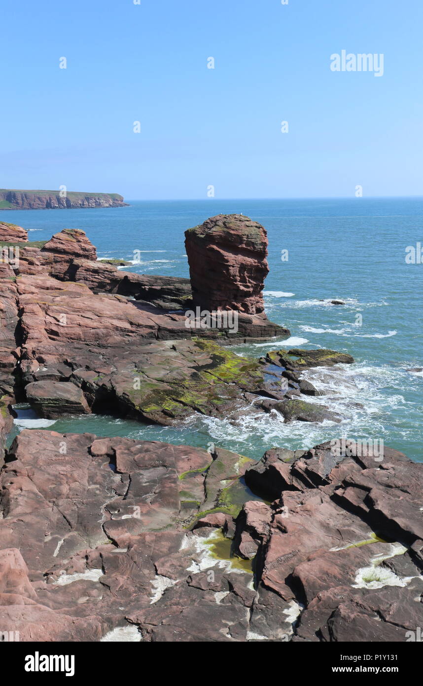 Deil's Heid pile mer Angus Scotland Juin 2018 Banque D'Images
